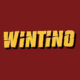 Wintino casino Review